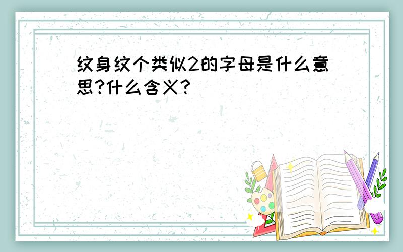 纹身纹个类似2的字母是什么意思?什么含义?