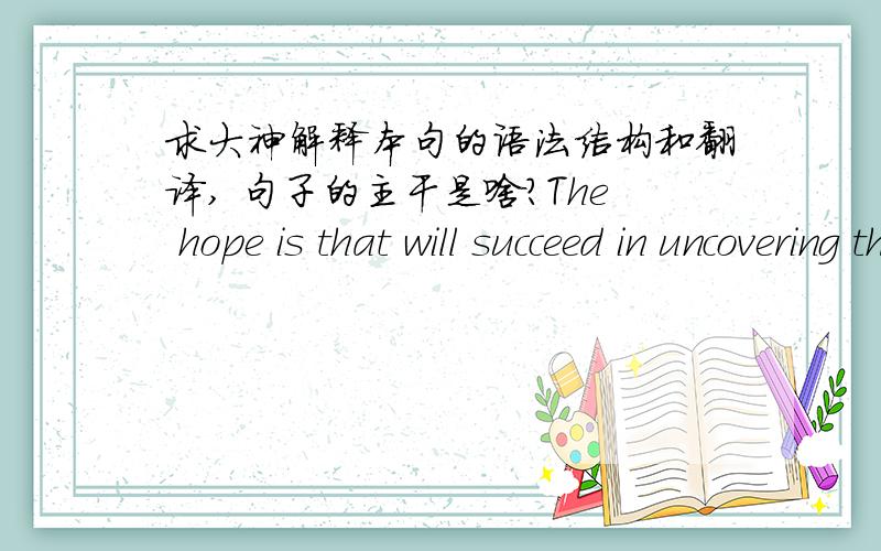 求大神解释本句的语法结构和翻译, 句子的主干是啥?The hope is that will succeed in uncovering the full extent of illicit holdings and corruption.