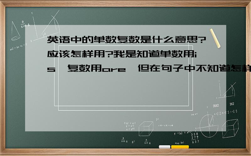 英语中的单数复数是什么意思?应该怎样用?我是知道单数用is,复数用are,但在句子中不知道怎样填啊?在过几天就要考试了,