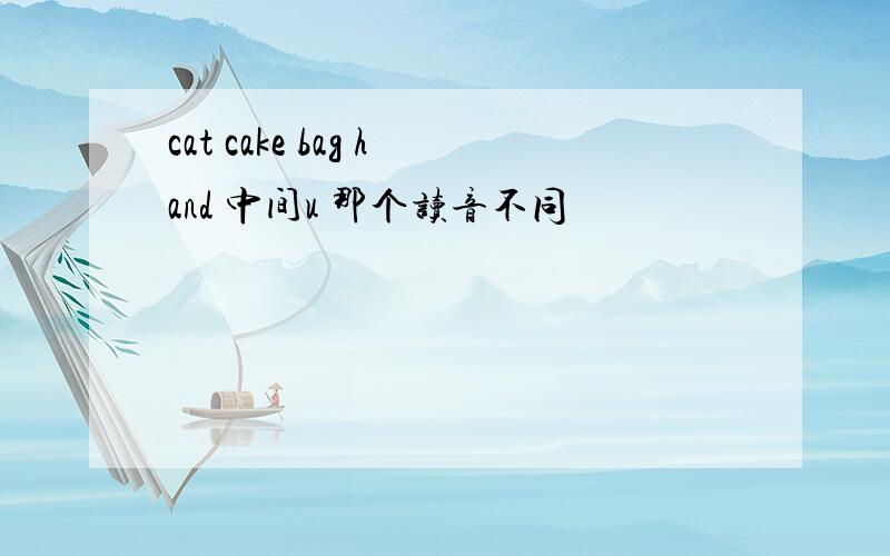 cat cake bag hand 中间u 那个读音不同