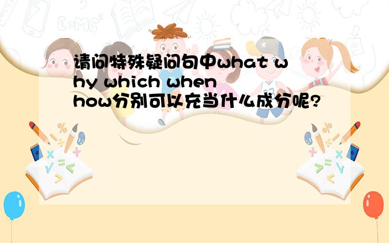 请问特殊疑问句中what why which when how分别可以充当什么成分呢?