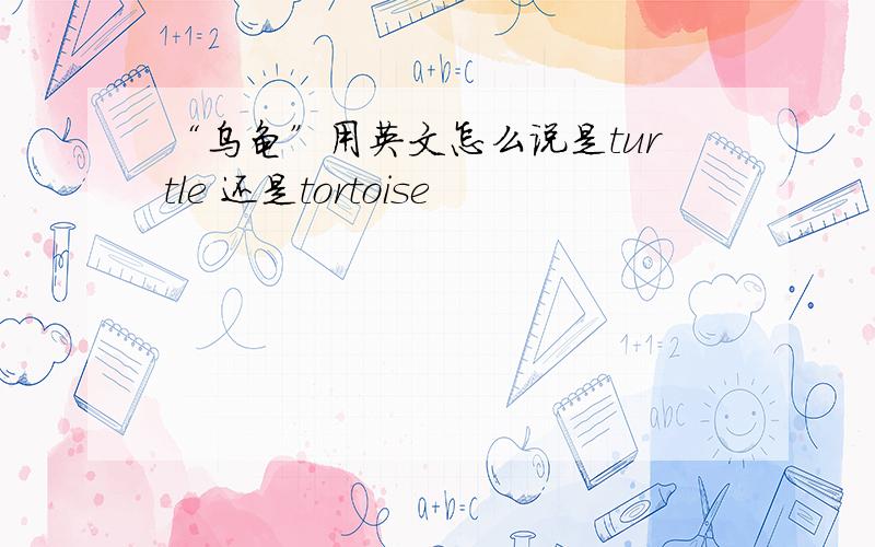 “乌龟”用英文怎么说是turtle 还是tortoise