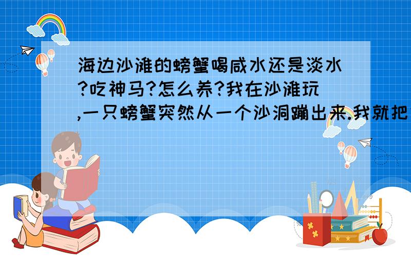 海边沙滩的螃蟹喝咸水还是淡水?吃神马?怎么养?我在沙滩玩,一只螃蟹突然从一个沙洞蹦出来.我就把它捉了.