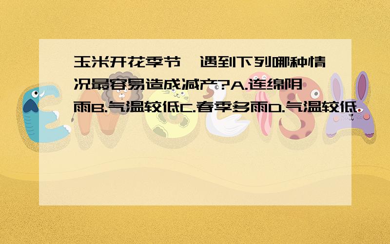 玉米开花季节,遇到下列哪种情况最容易造成减产?A.连绵阴雨B.气温较低C.春季多雨D.气温较低