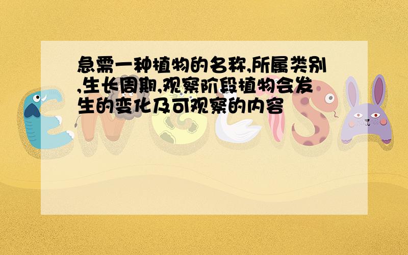 急需一种植物的名称,所属类别,生长周期,观察阶段植物会发生的变化及可观察的内容