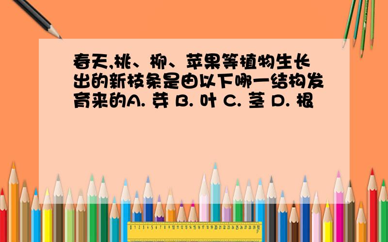 春天,桃、柳、苹果等植物生长出的新枝条是由以下哪一结构发育来的A. 芽 B. 叶 C. 茎 D. 根