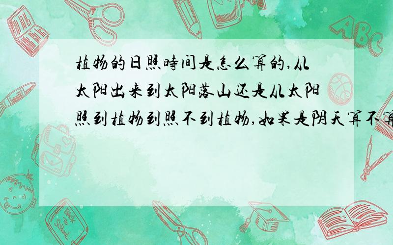 植物的日照时间是怎么算的,从太阳出来到太阳落山还是从太阳照到植物到照不到植物,如果是阴天算不算日照时间呢?