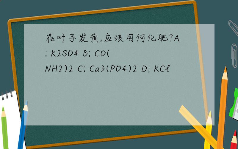 花叶子发黄,应该用何化肥?A; K2SO4 B; CO(NH2)2 C; Ca3(PO4)2 D; KCl