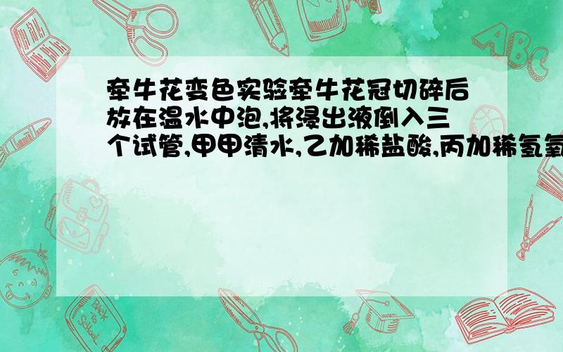 牵牛花变色实验牵牛花冠切碎后放在温水中泡,将浸出液倒入三个试管,甲甲清水,乙加稀盐酸,丙加稀氢氧化钠后,颜色如何变化,为什么?