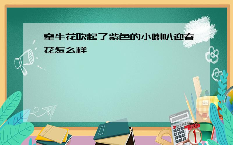 牵牛花吹起了紫色的小喇叭迎春花怎么样