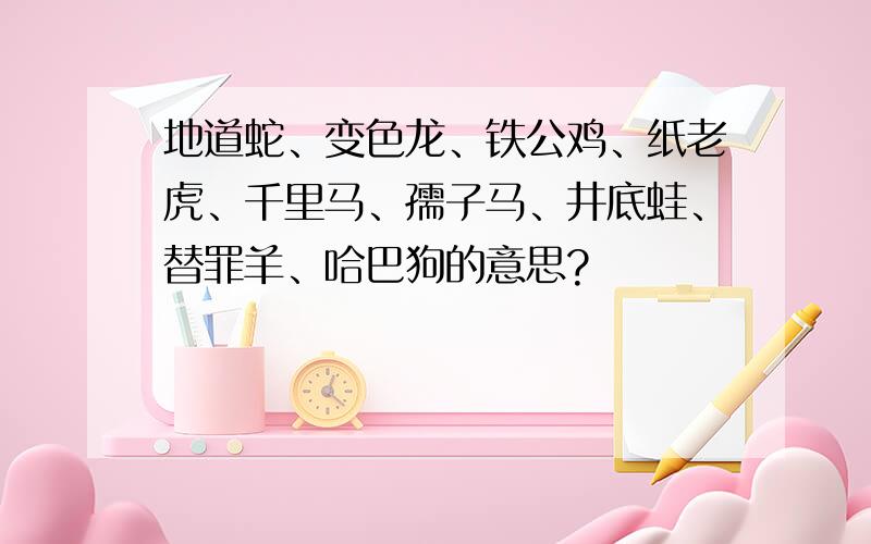 地道蛇、变色龙、铁公鸡、纸老虎、千里马、孺子马、井底蛙、替罪羊、哈巴狗的意思?