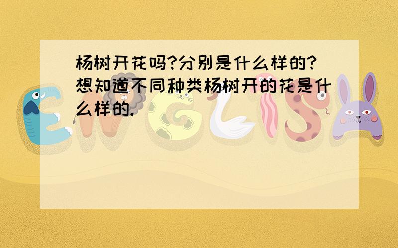 杨树开花吗?分别是什么样的?想知道不同种类杨树开的花是什么样的.