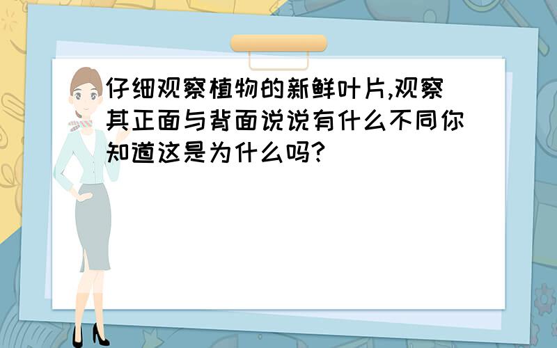 仔细观察植物的新鲜叶片,观察其正面与背面说说有什么不同你知道这是为什么吗?