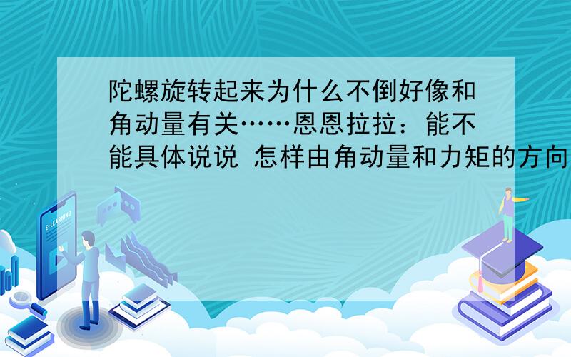 陀螺旋转起来为什么不倒好像和角动量有关……恩恩拉拉：能不能具体说说 怎样由角动量和力矩的方向判断出 重力的作用是使陀螺进动？