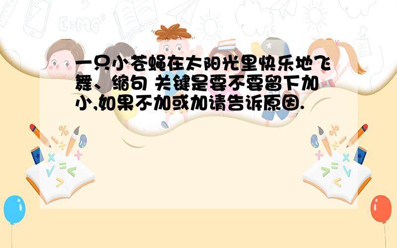 一只小苍蝇在太阳光里快乐地飞舞、缩句 关键是要不要留下加小,如果不加或加请告诉原因.