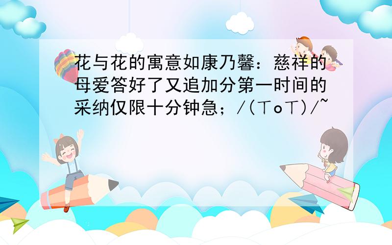 花与花的寓意如康乃馨：慈祥的母爱答好了又追加分第一时间的采纳仅限十分钟急；/(ㄒoㄒ)/~