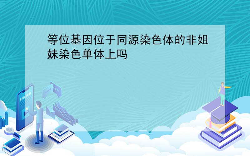 等位基因位于同源染色体的非姐妹染色单体上吗