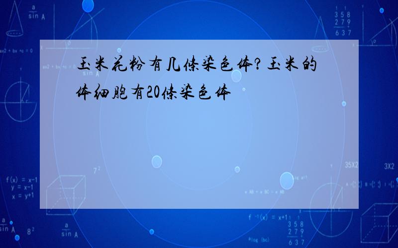 玉米花粉有几条染色体?玉米的体细胞有20条染色体