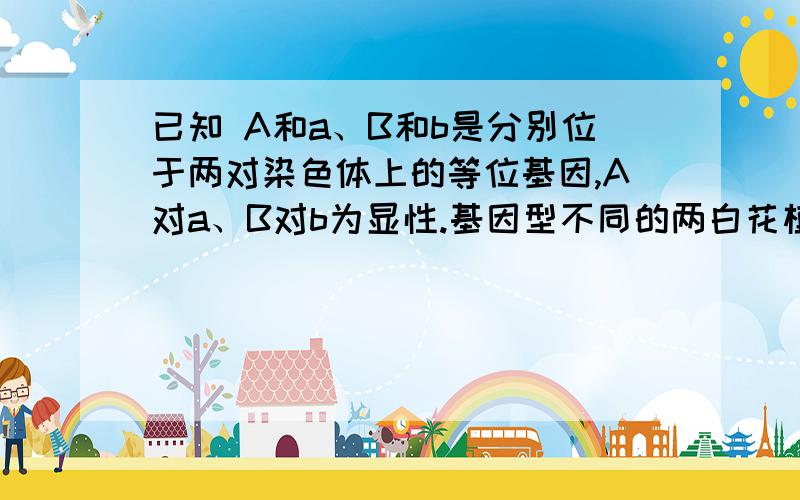 已知 A和a、B和b是分别位于两对染色体上的等位基因,A对a、B对b为显性.基因型不同的两白花植株杂交,F1紫花：白花=1：1.若将F1紫花植株自交,所得F2植株中紫花：白花=9：7.请回答：⑴从紫花形