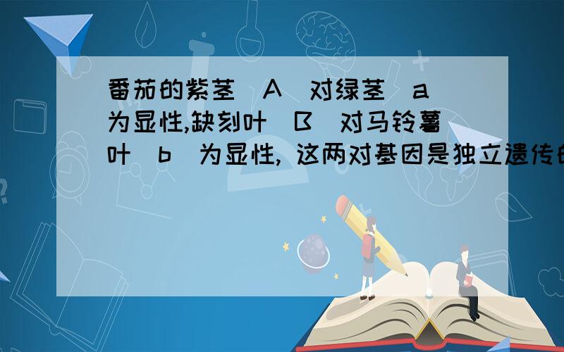 番茄的紫茎(A)对绿茎(a)为显性,缺刻叶(B)对马铃薯叶(b)为显性, 这两对基因是独立遗传的,现用紫茎马铃薯叶与绿茎缺刻叶杂交,F1表型一致.取F1与某番茄杂交,其后代的四种表现型的比例为3:1:1:3,