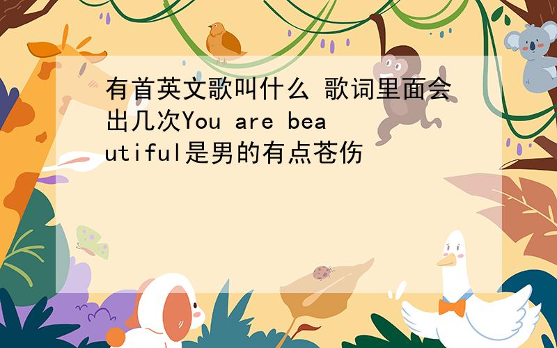 有首英文歌叫什么 歌词里面会出几次You are beautiful是男的有点苍伤