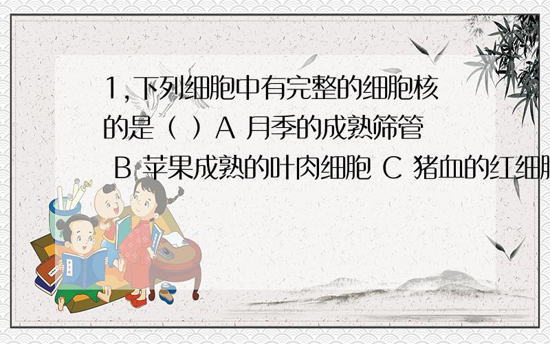 1,下列细胞中有完整的细胞核的是（ ）A 月季的成熟筛管 B 苹果成熟的叶肉细胞 C 猪血的红细胞 D 支原体细胞2,科学家将棕鼠的卵细胞的核物质注入内部已经抽空的黑鼠卵细胞内,激活以后移