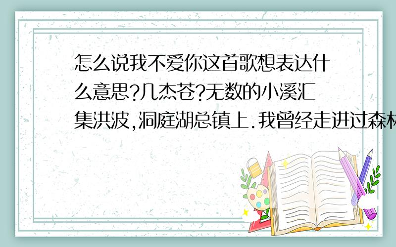 怎么说我不爱你这首歌想表达什么意思?几杰苍?无数的小溪汇集洪波,洞庭湖总镇上.我曾经走进过森林,里面?