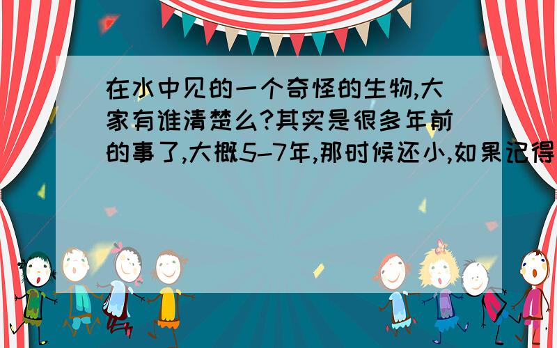 在水中见的一个奇怪的生物,大家有谁清楚么?其实是很多年前的事了,大概5-7年,那时候还小,如果记得不清楚请见谅,是去我们这里的一个公园玩（河北地区）,然后在岸边,看见水里有一只龙虾,