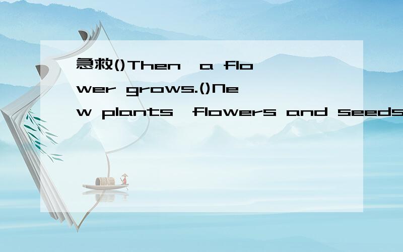 急救()Then,a flower grows.()New plants,flowers and seeds grow again()First,seeds fall on the ground.Their roots go into the soil()After that,bees come to the flower.The flower makes new seeds.()Next,a plant grows.It needs water and light()The seeds