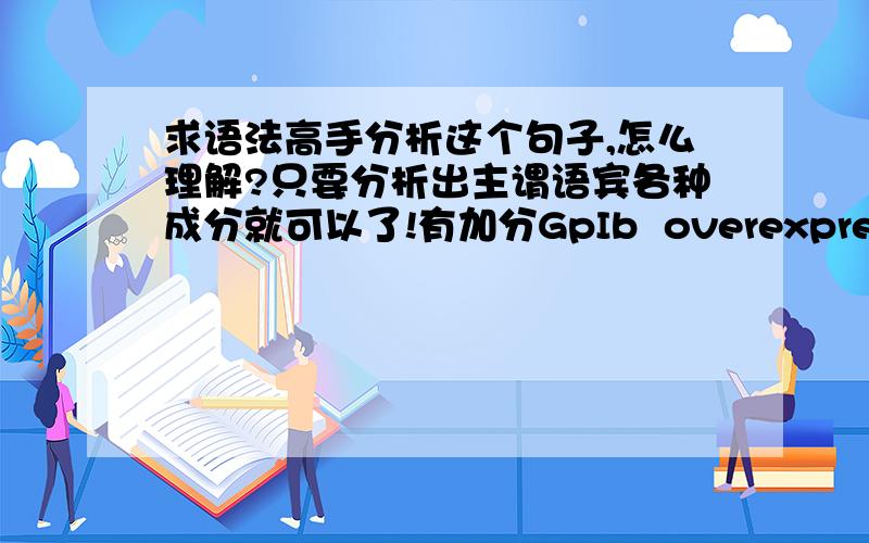 求语法高手分析这个句子,怎么理解?只要分析出主谓语宾各种成分就可以了!有加分GpIb  overexpression at levels comparable with those seen in some tumor cells causes the dispersalof these proteins but not Aurora B, resultin