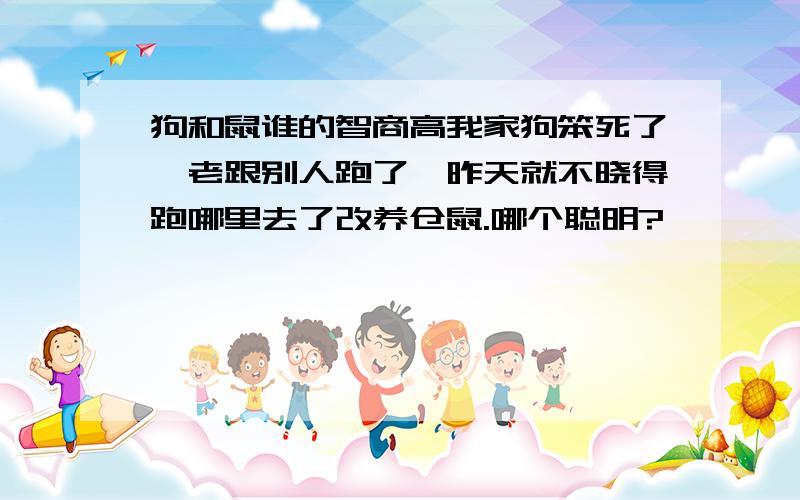 狗和鼠谁的智商高我家狗笨死了,老跟别人跑了,昨天就不晓得跑哪里去了改养仓鼠.哪个聪明?