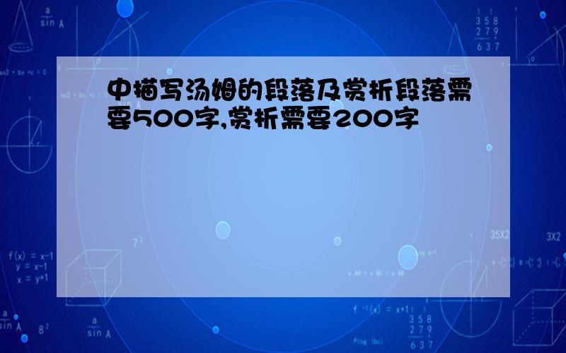 中描写汤姆的段落及赏析段落需要500字,赏析需要200字