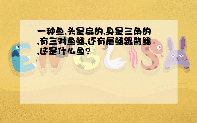 一种鱼,头是扁的,身是三角的,有三对鱼鳍,还有尾鳍跟背鳍,这是什么鱼?