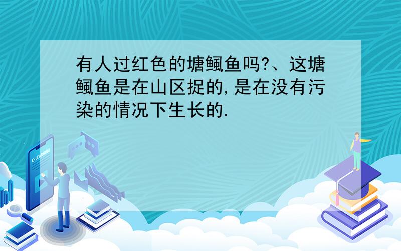 有人过红色的塘鲺鱼吗?、这塘鲺鱼是在山区捉的,是在没有污染的情况下生长的.