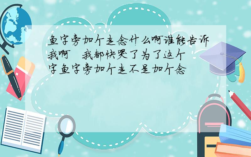 鱼字旁加个走念什么啊谁能告诉我啊   我都快哭了为了这个字鱼字旁加个走不是加个念