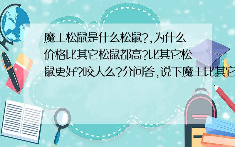 魔王松鼠是什么松鼠?,为什么价格比其它松鼠都高?比其它松鼠更好?咬人么?分问答,说下魔王比其它松鼠好在哪…