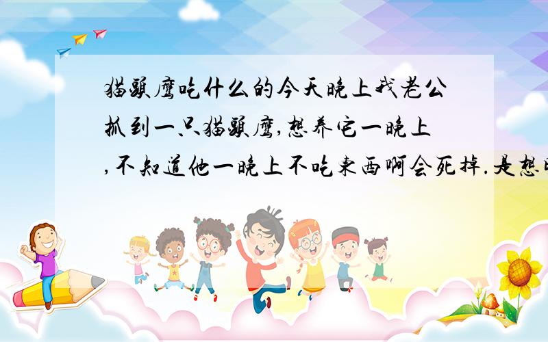 猫头鹰吃什么的今天晚上我老公抓到一只猫头鹰,想养它一晚上,不知道他一晚上不吃东西啊会死掉.是想明天给别人一起看看,因为我们新塘都没看到过.最好是能比较容易抓到的