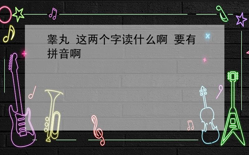 睾丸 这两个字读什么啊 要有拼音啊