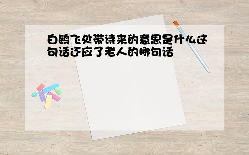 白鸥飞处带诗来的意思是什么这句话还应了老人的哪句话