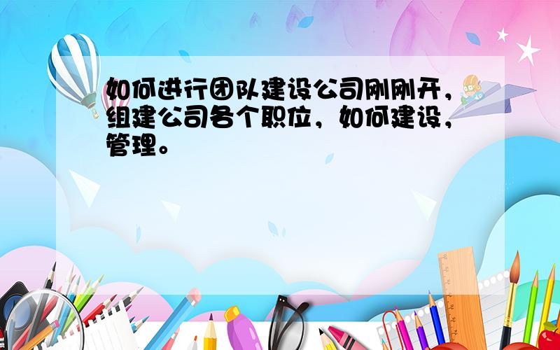 如何进行团队建设公司刚刚开，组建公司各个职位，如何建设，管理。