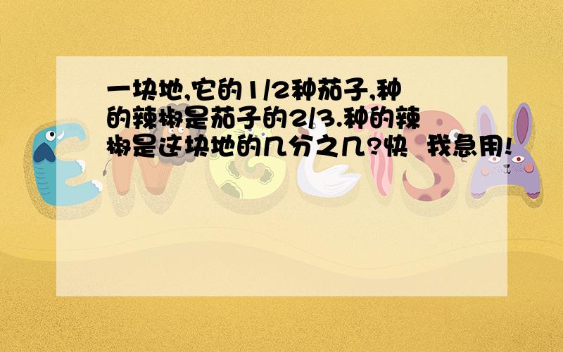 一块地,它的1/2种茄子,种的辣椒是茄子的2/3.种的辣椒是这块地的几分之几?快  我急用!