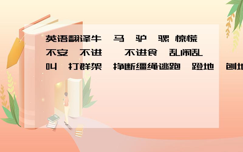 英语翻译牛、马、驴、骡 惊慌不安、不进厩、不进食、乱闹乱叫、打群架、挣断缰绳逃跑、蹬地、刨地、行走中突然惊跑 动物异常现象(癞蛤蟆异常).猪 不进圈、不吃食、乱叫乱闹、拱圈、