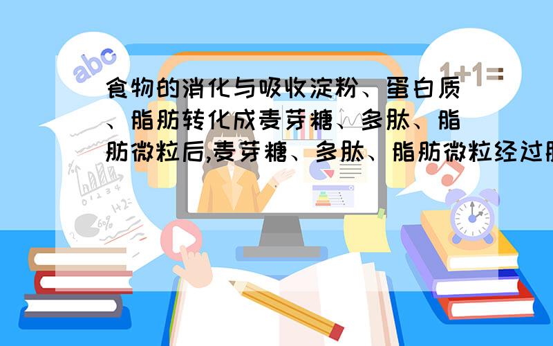 食物的消化与吸收淀粉、蛋白质、脂肪转化成麦芽糖、多肽、脂肪微粒后,麦芽糖、多肽、脂肪微粒经过胰液分解分别变成了什么,再经过肠液分别变成了什么,最后转化为葡萄糖、氨基酸、脂