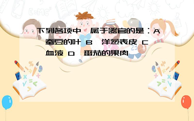 下列各项中,属于器官的是：A、蚕豆的叶 B、洋葱表皮 C、血液 D、番茄的果肉