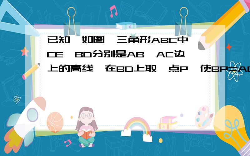 已知,如图,三角形ABC中,CE、BD分别是AB、AC边上的高线,在BD上取一点P,使BP=AC,在CE的延长线上已知,如图,三角形ABC中,CE、BD分别是AB、AC边上的高线,在BD上取一点P,使BP=AC,在CE的延长线上取一点Q,使