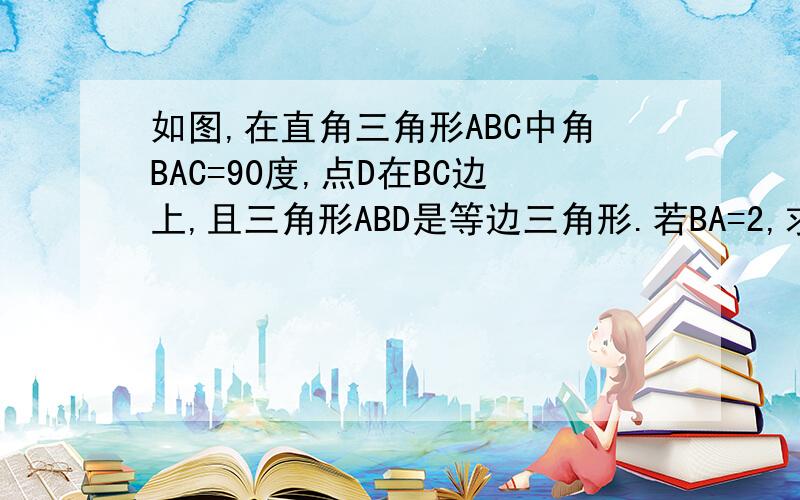 如图,在直角三角形ABC中角BAC=90度,点D在BC边上,且三角形ABD是等边三角形.若BA=2,求三角形ABC周长（结果保留根号）