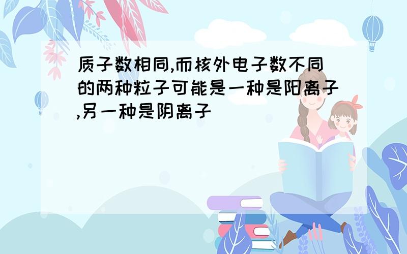 质子数相同,而核外电子数不同的两种粒子可能是一种是阳离子,另一种是阴离子