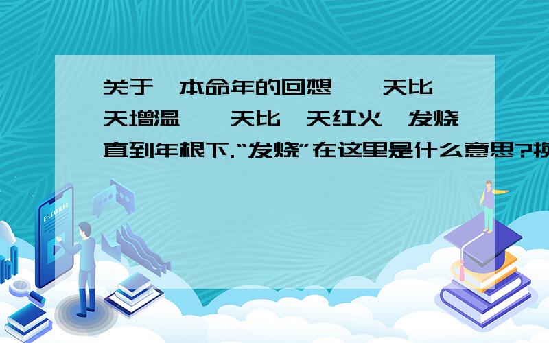 关于《本命年的回想》一天比一天增温,一天比一天红火,发烧直到年根下.“发烧”在这里是什么意思?换成“热烈”好不好.