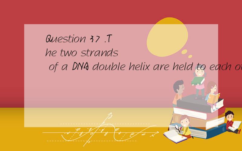 Question 37 .The two strands of a DNA double helix are held to each other by ____ bonds between nitrogenous bases.Answer A.phosphodiester B.disulfide C.glycosidic D.hydrogen E.peptide