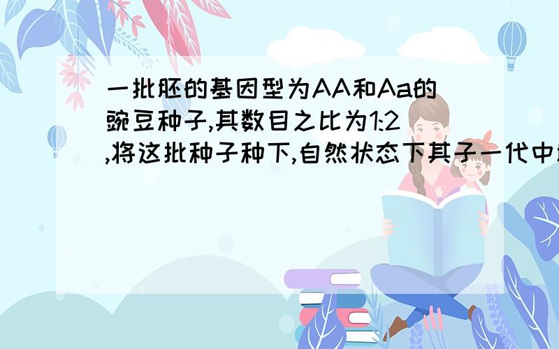 一批胚的基因型为AA和Aa的豌豆种子,其数目之比为1:2,将这批种子种下,自然状态下其子一代中胚的基因型为AA、Aa、aa的种子数之比为多少?